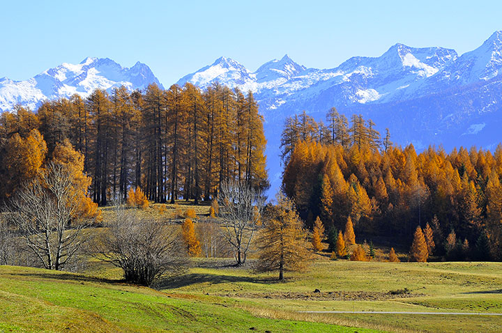 Sommer und Winteraktivitäten im Fleimstal